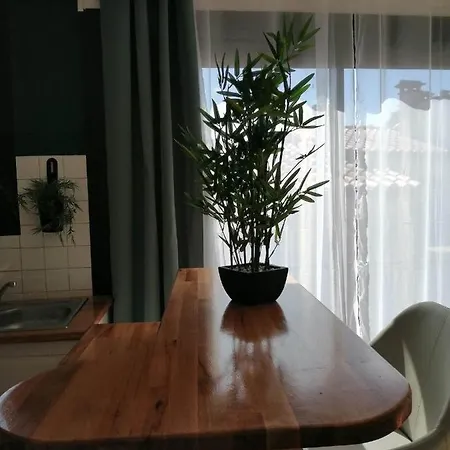 Apartment Alicia